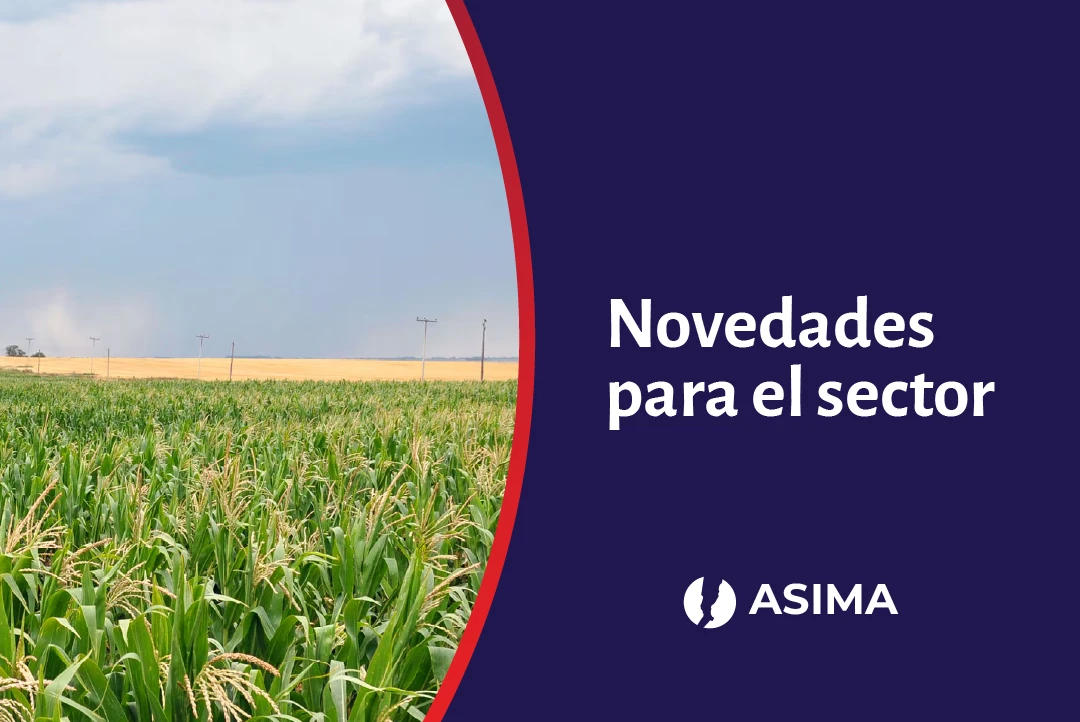 El Gobierno fijó los nuevos valores del Salario Mínimo Vital y Móvil